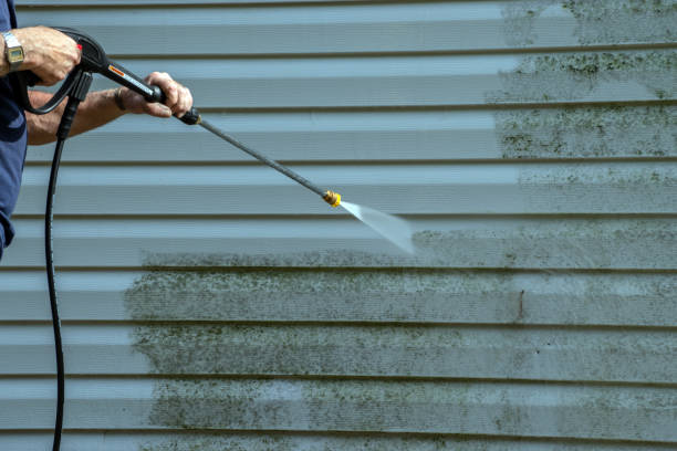 Best Gutter Cleaning and Brightening in Jefferson, IA